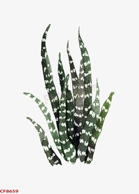 File ảnh File tranh dán tường cà phê nhà hàng CF8659 (gốc) trang trí khách sạn