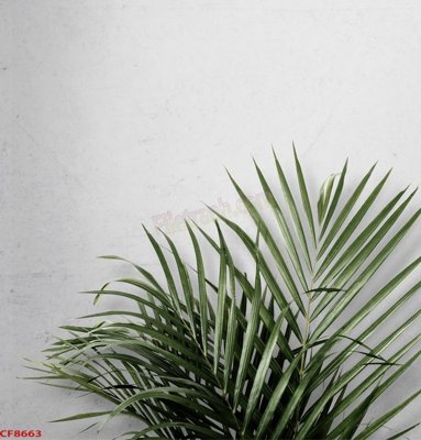 File tranh File tranh dán tường cà phê nhà hàng CF8663 (ảnh gốc) in trần 3D