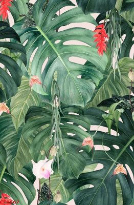 File tranh in mica File tranh dán tường cà phê nhà hàng CF8667 (độ phân giải cao)