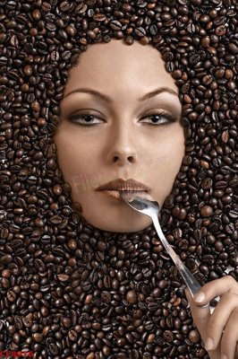 File tranh File tranh dán tường cà phê nhà hàng CF8916 (gốc) chủ đề động vật