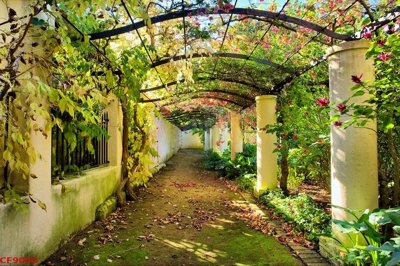 File gốc in ấn File tranh dán tường cà phê nhà hàng CF9006 độ phân giải cao