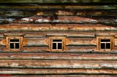 File tranh gốc in trần nhà File tranh dán tường cà phê nhà hàng CF9020 3D