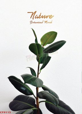 File PSD File tranh dán tường cà phê nhà hàng CF9115 (nguyên bản) cho thiết kế