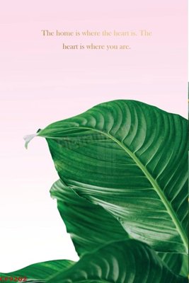 File tranh File tranh dán tường cà phê nhà hàng CF9202 (ảnh gốc) sắc nét hoàn hảo