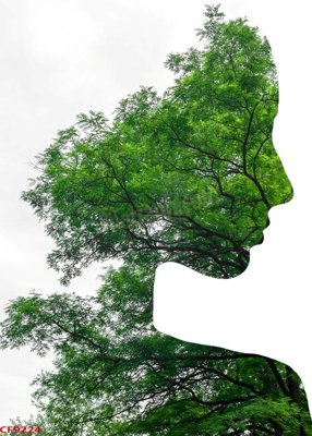 File in lụa File tranh dán tường cà phê nhà hàng CF9224 (hoa văn) File tranh dán tường cà phê nhà hàng CF9224