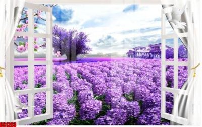 File tranh File tranh gốc cửa sổ 3D CS1263 (ảnh gốc) in trần nhà