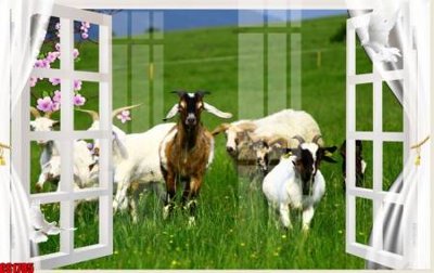 Tải file File tranh gốc cửa sổ 3D CS1785 (gốc) chủ đề hoa sen