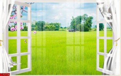File in trần File tranh gốc cửa sổ 3D CS2327 (bản gốc) 5D