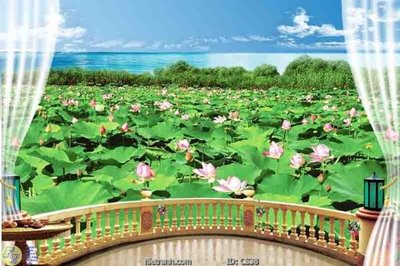 Tải file File gốc cửa sổ 3D CS38 (gốc) làm tranh treo tường