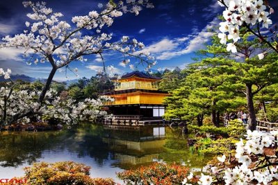 File ảnh File tranh hoa đào hoa mai tài lộc CT4161 (gốc) dùng in Pano