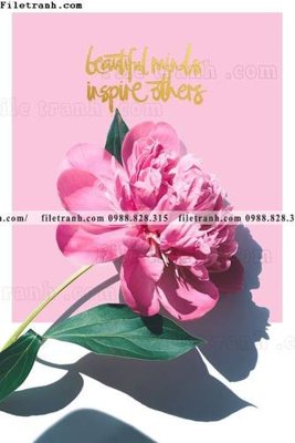 File gốc Chuoi tham my bac au 155 (PNG) nền trong suốt