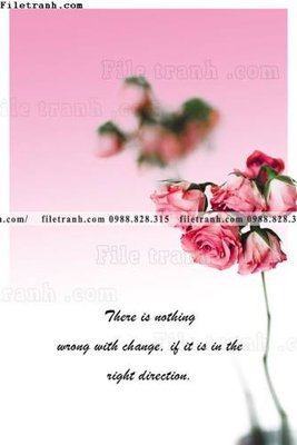 File tranh in tráng gương Chuoi tham my bac au 156 (siêu nét)