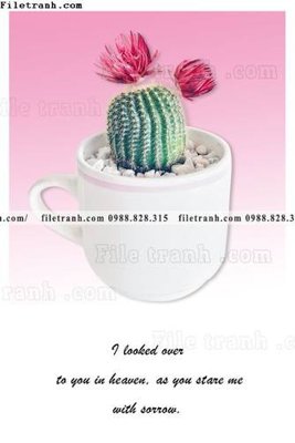 Download file Chuoi tham my bac au 158 (gốc) cho xưởng in