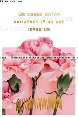 File in ấn Chuoi tham my bac au 164 (bản gốc) từ file gốc