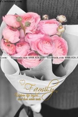 Ảnh gốc Chuoi tham my bac au 182 (độ nét cao) in tráng gương