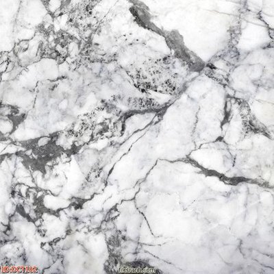 File tranh File vân đá cẩm thạch DCT102 (gốc) chủ đề tĩnh vật