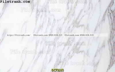 Tệp tin gốc File vân đá cẩm thạch DCT2215 (dùng cho in ấn) chuyên nghiệp
