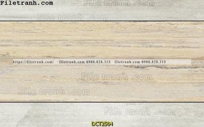 File gốc File vân đá cẩm thạch DCT2504 (chủ đề hiện đại) trang trí