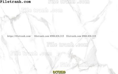File gốc File vân đá cẩm thạch DCT2529 (thiết kế) cho in ấn