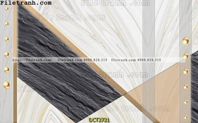 File in mica File vân đá cẩm thạch DCT2721 (bản gốc) làm vách ngăn