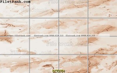 File gốc File vân đá cẩm thạch DCT2754 (in tráng gương) nghệ thuật