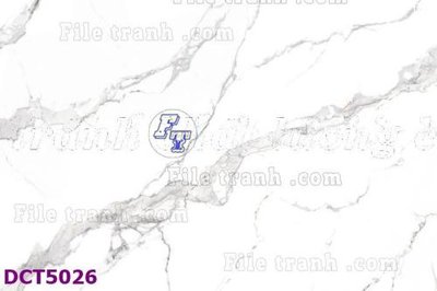 File tranh File gốc in tranh tổng hợp DCT5026 (gốc) in backlit film