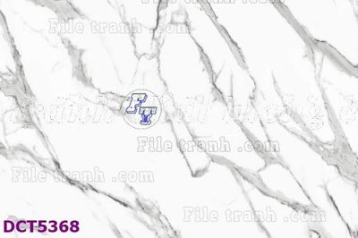 File gốc File gốc in tranh tổng hợp DCT5368 (in tráng gương) sang trọng