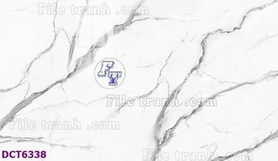 File tranh File gốc in nền tường vân đá cẩm thạch DCT6338 (ảnh gốc) in trần 3D
