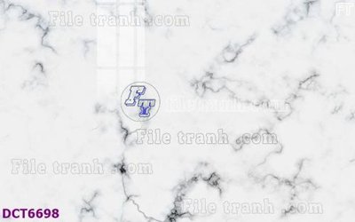 File tranh File gốc in nền tường vân đá cẩm thạch DCT6698 (bản gốc) treo quán cafe