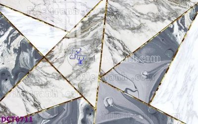 File gốc File gốc in nền tường vân đá cẩm thạch DCT6711 (in tráng gương) sang trọng