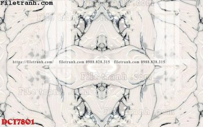 File tranh File in vân đá cẩm thạch DCT7801 (bản gốc) treo quán cafe