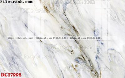 File tranh gốc File in vân đá cẩm thạch DCT7992 (sắc nét từng chi tiết)