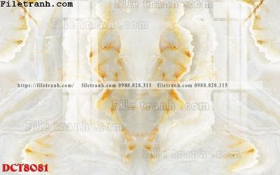 Tải file File in vân đá cẩm thạch DCT8081 (ảnh gốc) in tráng gương