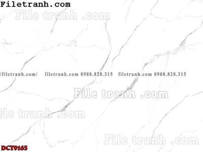 Tải file File in vân đá cẩm thạch DCT9163 (gốc) chủ đề phong thủy