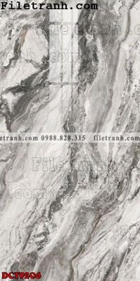 Tải file gốc File in vân đá cẩm thạch DCT9206 (in khổ lớn) quảng cáo