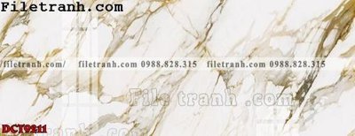 File in lụa File in vân đá cẩm thạch DCT9211 (hoa văn) File in vân đá cẩm thạch DCT9211