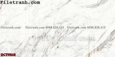 Download file gốc File in vân đá cẩm thạch DCT9218 (dùng cho in ấn)