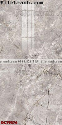 Hình ảnh file gốc File in vân đá cẩm thạch DCT9274 (chất lượng cao)