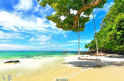 File gốc File gốc đại đương DD134 (ảnh chi tiết) để in lụa