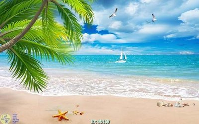 File gốc File gốc đại đương DD168 (PNG) trong suốt (transparent)