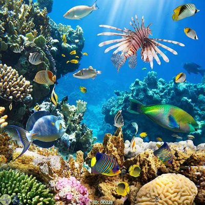 Tải xuống file tranh gốc File gốc đại đương DD228 (PSD/TIFF)