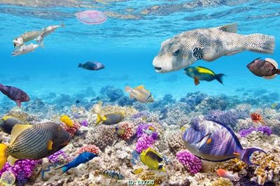 File gốc File gốc đại đương DD230 (PNG) nền trong suốt