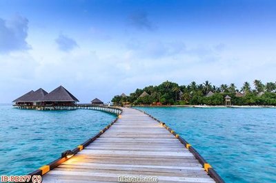 Download file gốc File gốc đại đương biển DD277 (in mica) trang trí