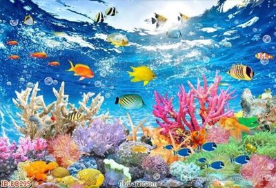 Ảnh gốc File gốc đại đương biển DD295 (độ nét cao) in mica