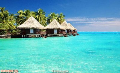 Download file gốc File gốc đại đương biển DD306 (in lụa) cao cấp