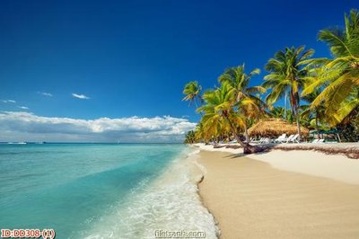 Tải file gốc File gốc đại đương biển DD308 (in tráng gương) siêu đẹpFile tranh gốc File gốc đại đương biển DD308 chất lượng cao