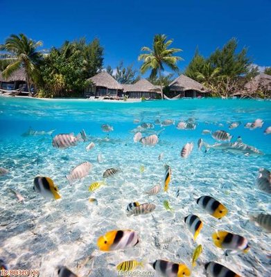 File PSD File gốc đại đương biển DD320 (gốc) tách lớp chi tiết