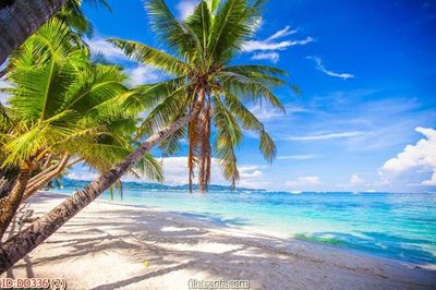 File tranh File gốc đại đương biển DD336 (file gốc) chuẩn màu in