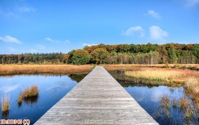 File gốc File gốc đại đương biển DD340 (in tráng gương) hiện đại