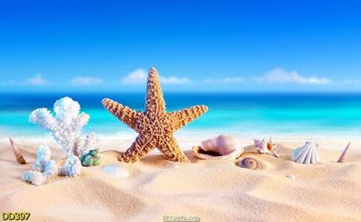 File in trần File gốc đại đương biển DD397 (bản gốc) đại dương